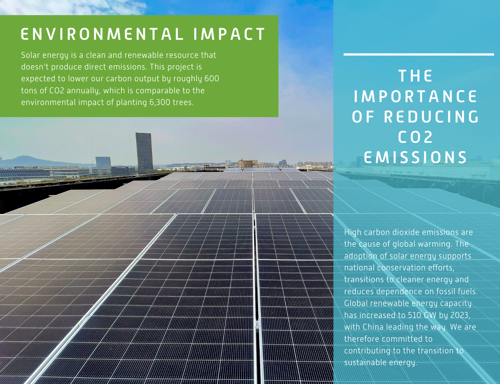 Environmental Impact.png