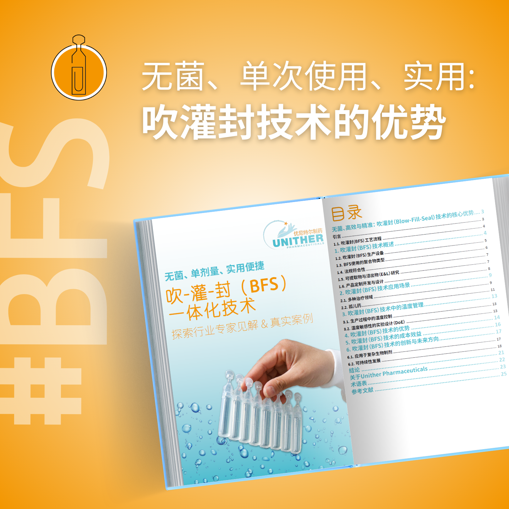 BFSBFS白皮書：專家洞見與戰(zhàn)略分析 Chinese.png